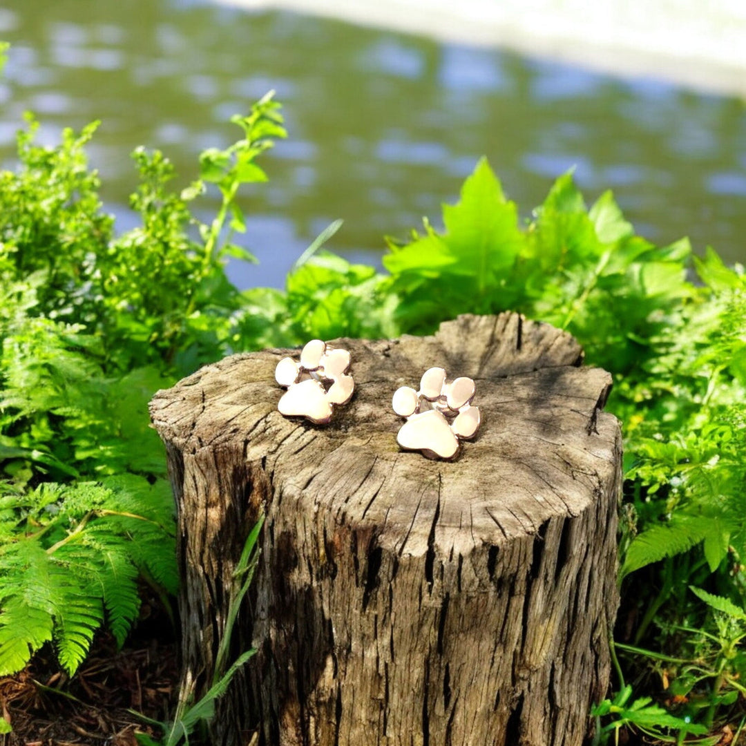 Brincos em forma de pata hipoalergénicos